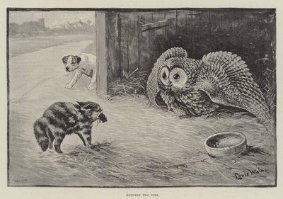 Entre dos enemigos de Louis Wain